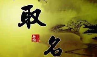 豆花视频免费网站入口 言字如何起名(言字取名男孩)