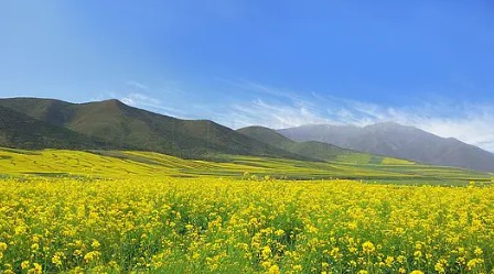 岛国三级在线免费观看 孩子起名声调搭配怎么顺口